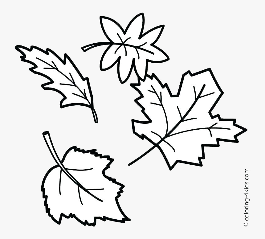 Leaf Outline Fall Outlines Autumn Maple Transparent - Autumn Leaves Drawing Easy, HD Png Download, Free Download
