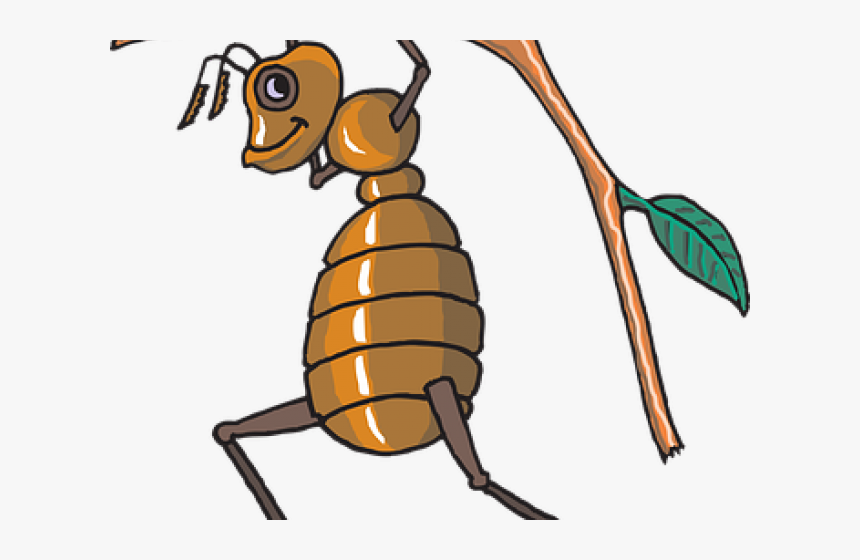 Baby Clipart Ant - Free Vector Bee, HD Png Download, Free Download