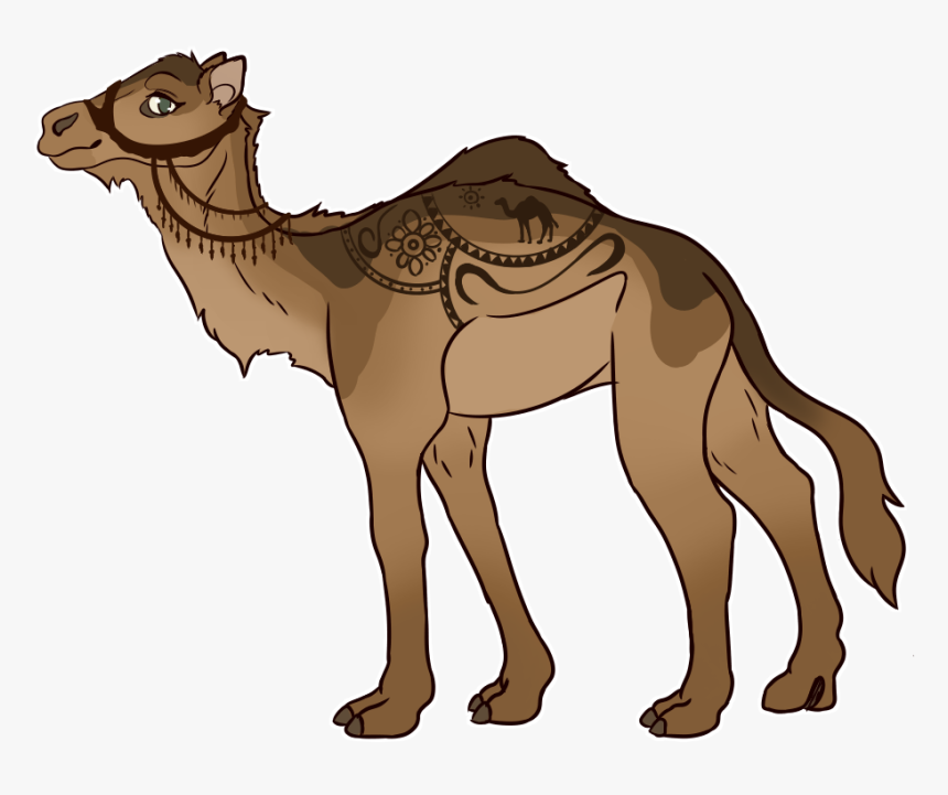 Transparent Camel Clipart Png - Arabian Camel, Png Download, Free Download