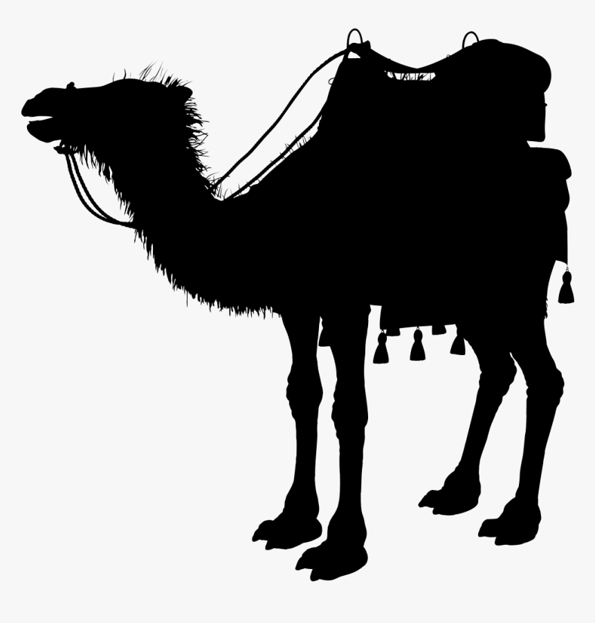 Camel Silhouette, HD Png Download, Free Download