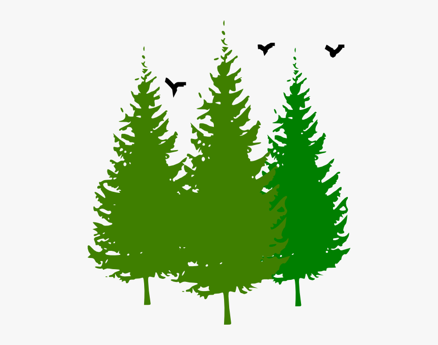 Transparent Pine Trees Silhouette Png - Pine Trees Clip Art, Png Download, Free Download