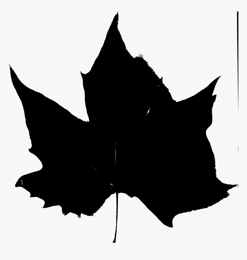 Transparent Fall Leaf Outline Png - Portable Network Graphics, Png Download, Free Download