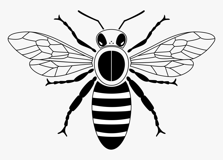Free Queen Bee Svg Free SVG PNG EPS DXF File