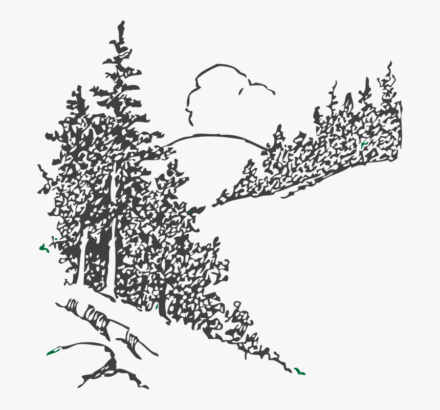 Trees, Forest, Pines, Country Side, Hills, Scenery - Clipart Mountain Trees Black And White, HD Png Download, Free Download