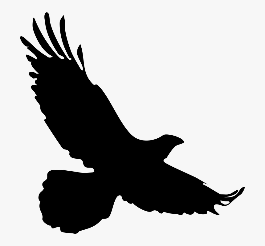 Transparent Eagle Outline Png - Silhouette Of A Falcon, Png Download, Free Download