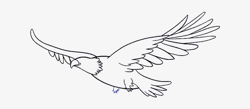 Eagle Drawing And How To Draw Eagle - Draw A Flying Eagle, HD Png Download, Free Download