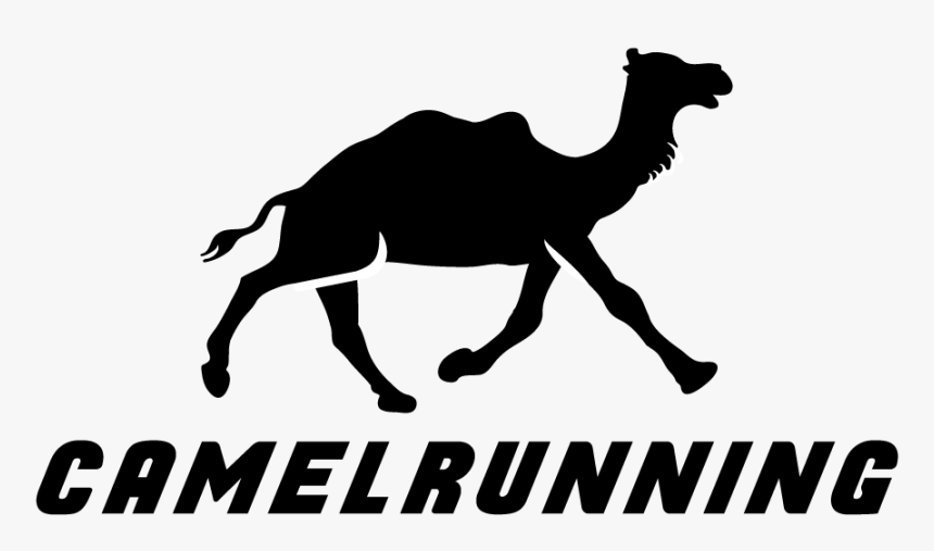 Transparent Camel Clipart Black And White - Running Camel Logo, HD Png Download, Free Download