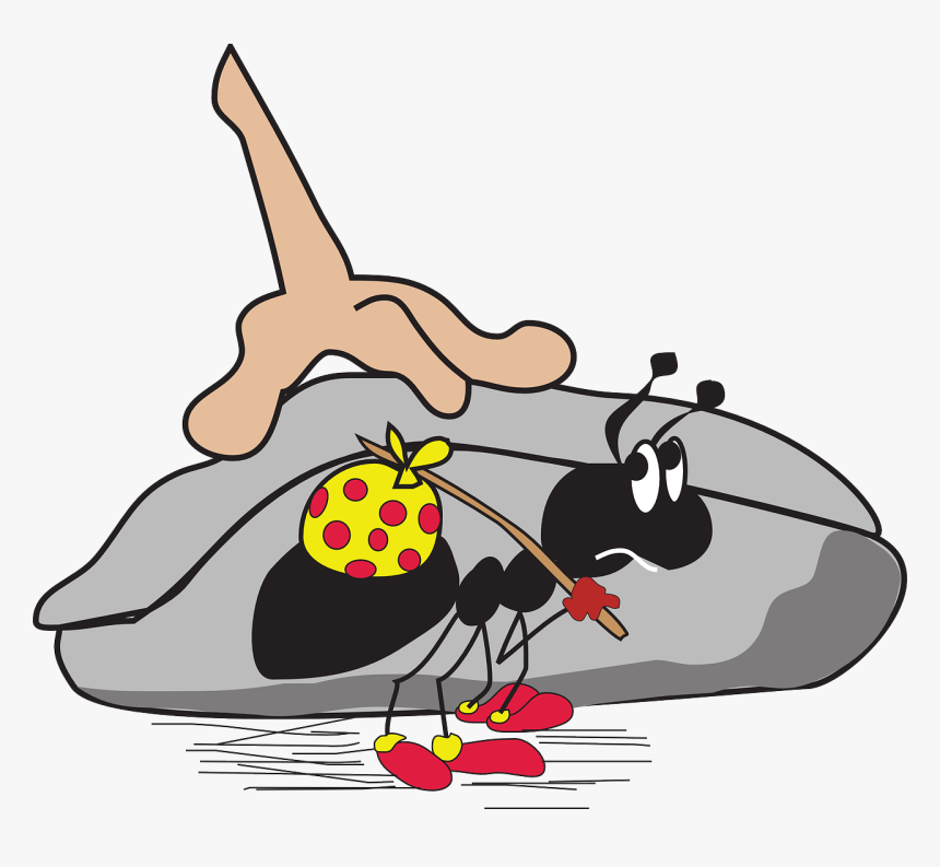 Ant Under Rock Clipart, HD Png Download, Free Download