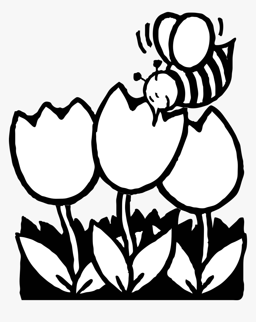 Drawing At Getdrawings Com - Spring Flowers Black And White Clipart, HD Png Download, Free Download