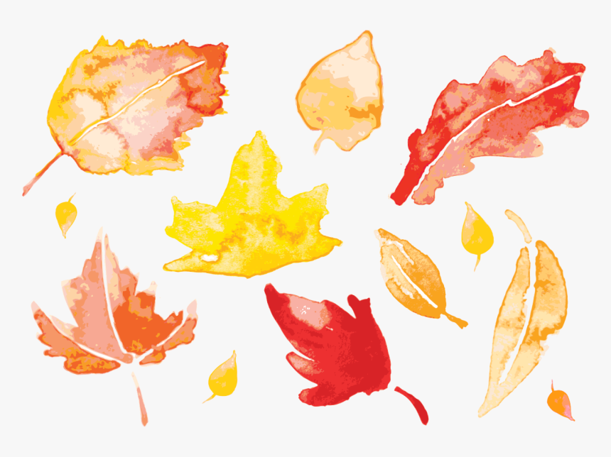 Fall Leaf Vector Png - Watercolor Fall Leaves Clipart, Transparent Png, Free Download
