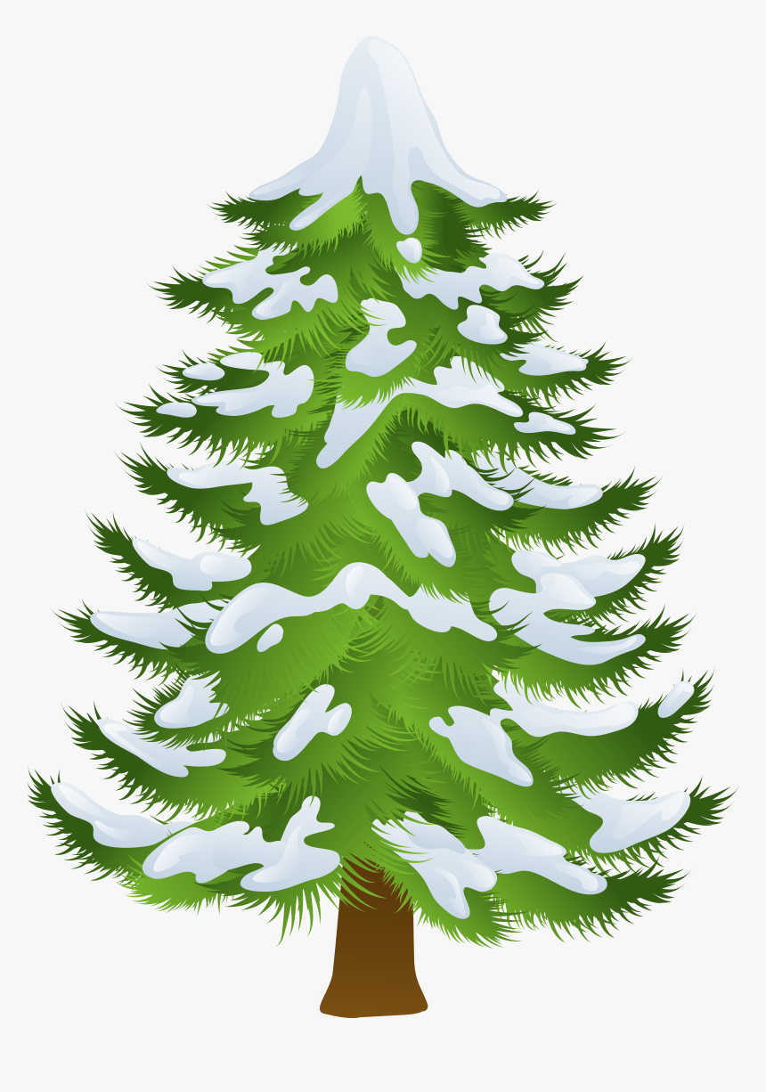 Pine Tree Winter Clip Art - Pine Tree Transparent Clipart, HD Png Download, Free Download