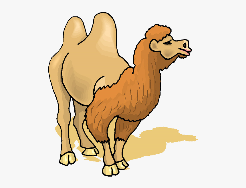 Camels Clipart Transparent - Camel Gif Png, Png Download, Free Download