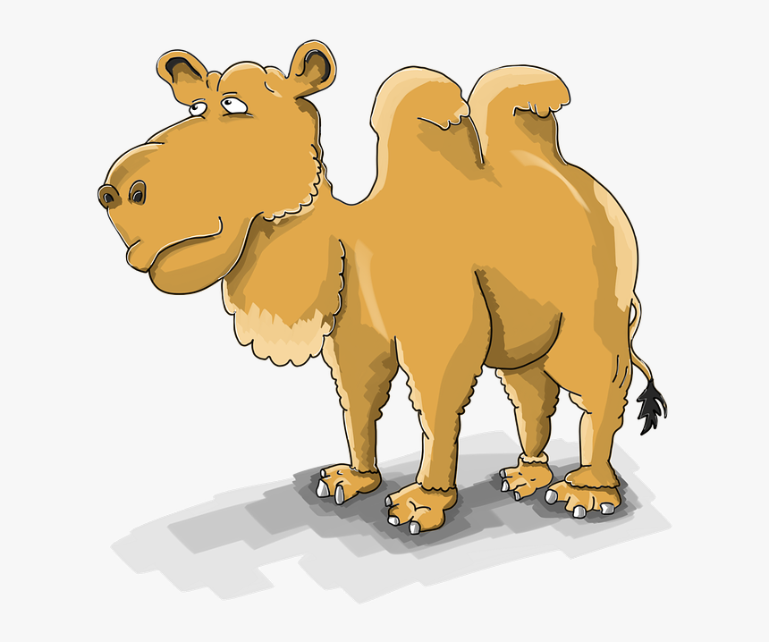 Camel, Cartoon, The Mehari, Nar, Dromedary, Steppe - อูฐ การ์ตูน, HD Png Download, Free Download