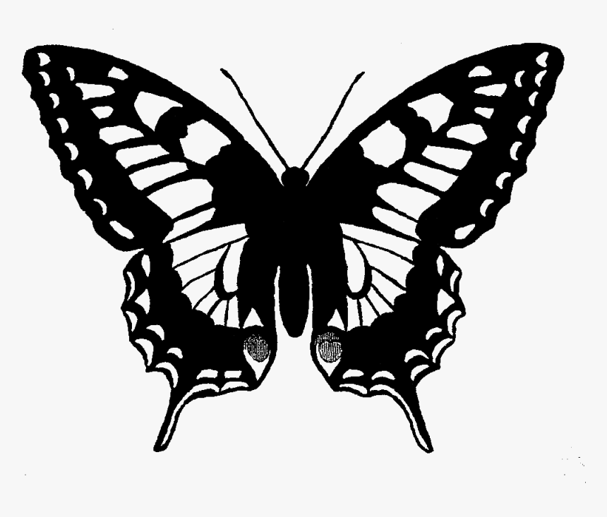 Digital Butterfly Clip Art Machaon Butterfly- - Swallowtail Butterfly Line Drawing, HD Png Download, Free Download