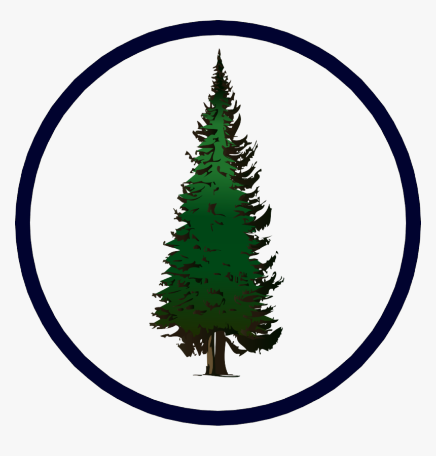 Pine Tree Clip Art , Png Download - Vector Pine Tree Png, Transparent Png, Free Download