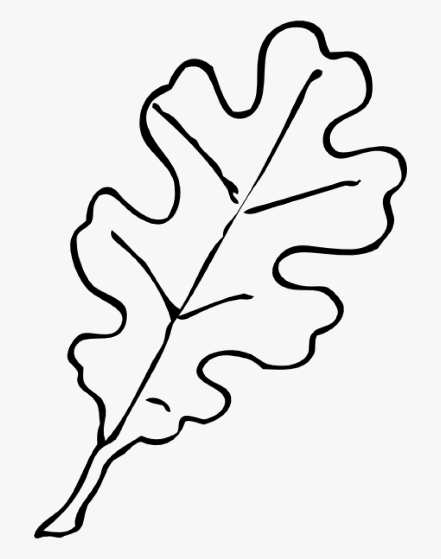 Permalink To Fall Leaf Outline Frog Clipart - Autumn Leaf Clipart Black And White, HD Png Download, Free Download