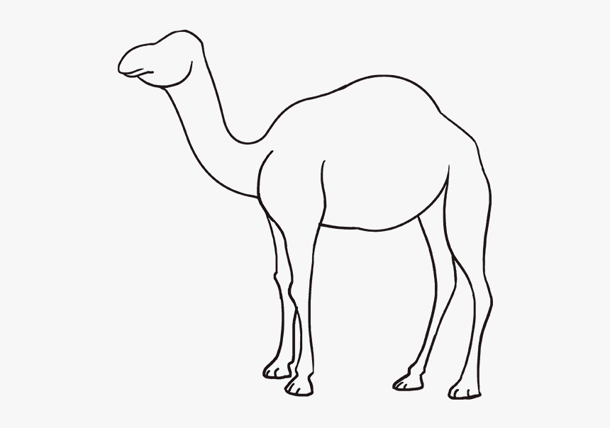 Camel Clipart Simple - Draw Camel, HD Png Download, Free Download