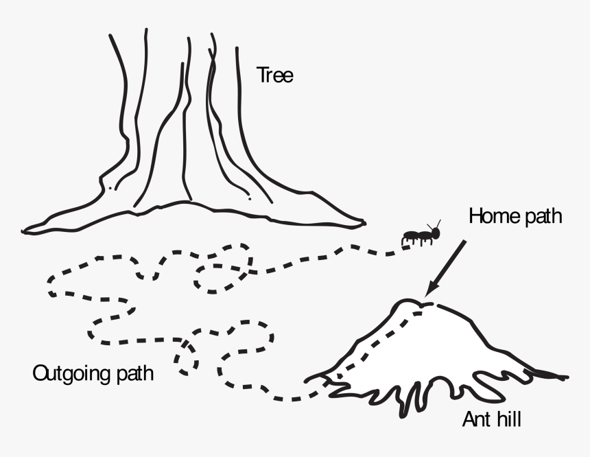 Ant Navigation Map Clip Arts - Ant Hill Clipart Black And White, HD Png Download, Free Download