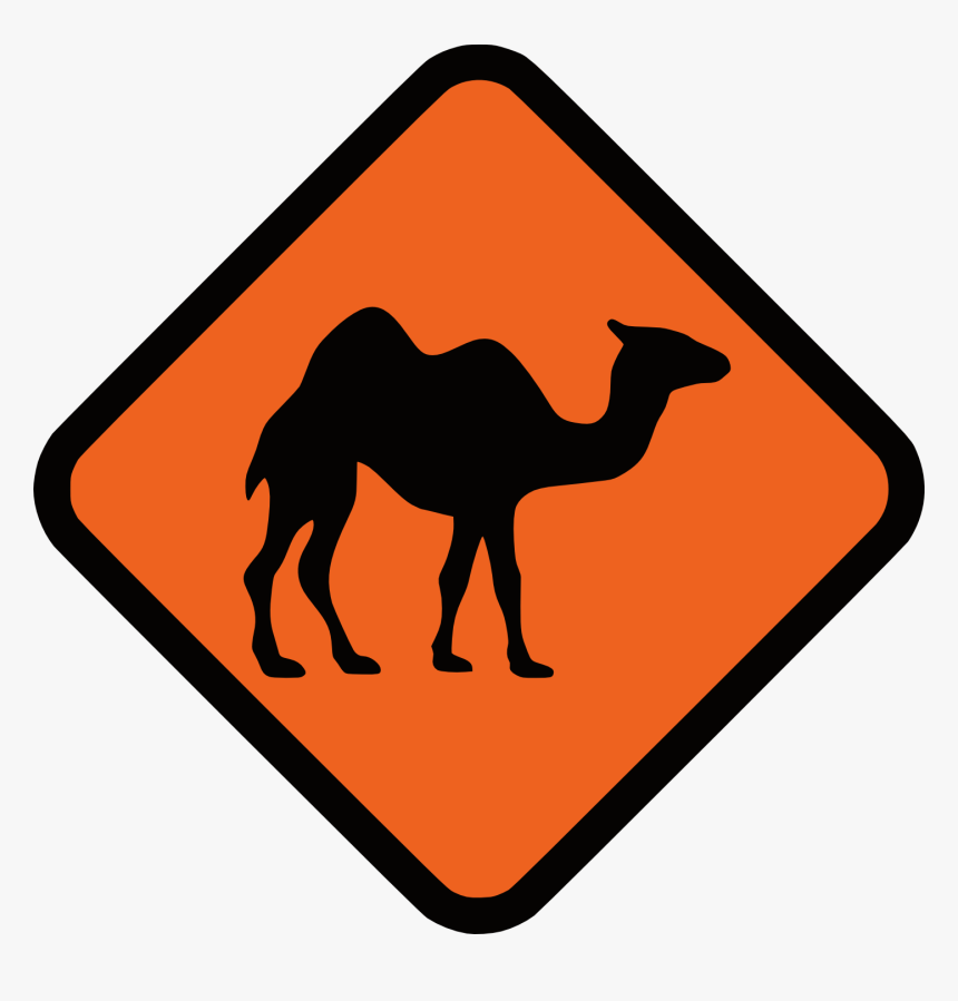 Transparent Camel Clipart Png - Black And White Camel Vector, Png Download, Free Download