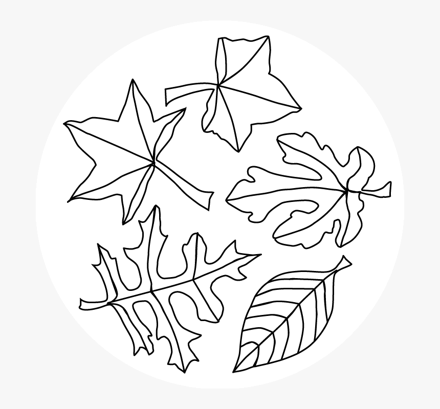 Fall Leaf Coloring Pages, HD Png Download, Free Download