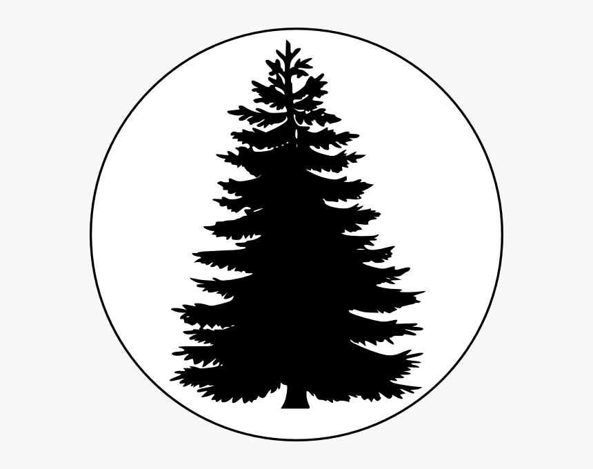 Clip Art Png Royalty Free Download - Vector Pine Tree Png, Transparent Png, Free Download