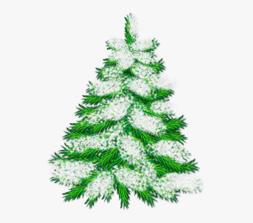 Snowy Trees Png - Snowy Christmas Tree Snow, Transparent Png, Free Download