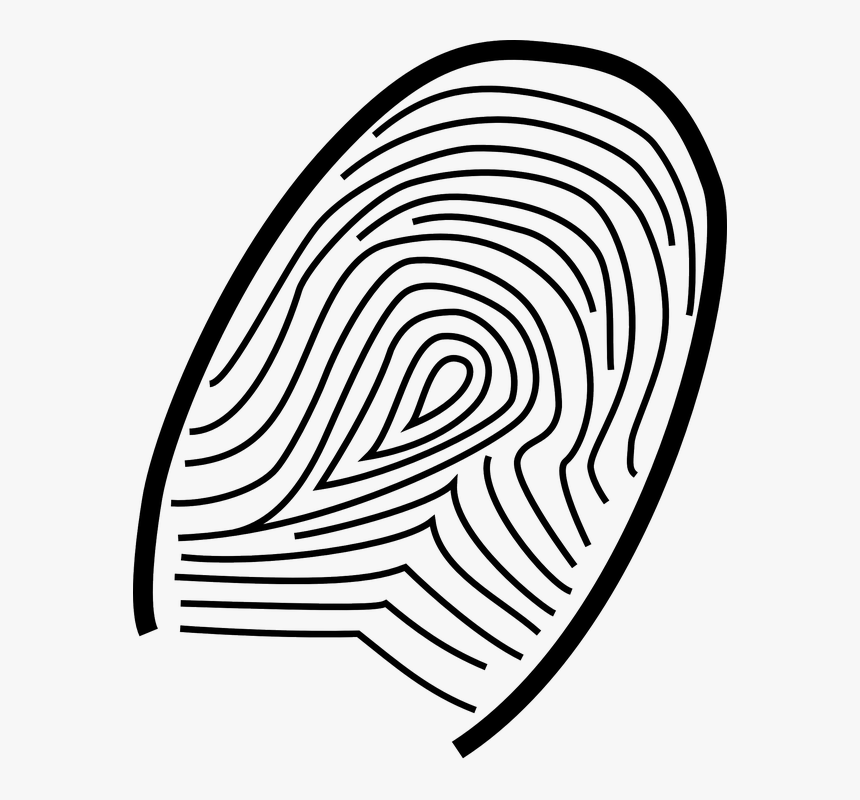 Thumb, Fingerprint, Print, Thumbprint, Identity - Drawings Of Forensic Science, HD Png Download, Free Download