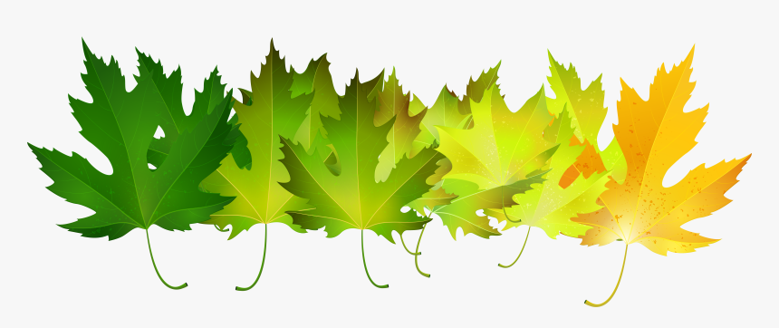 Autumn Leaves Clip Art - Clip Art, HD Png Download, Free Download