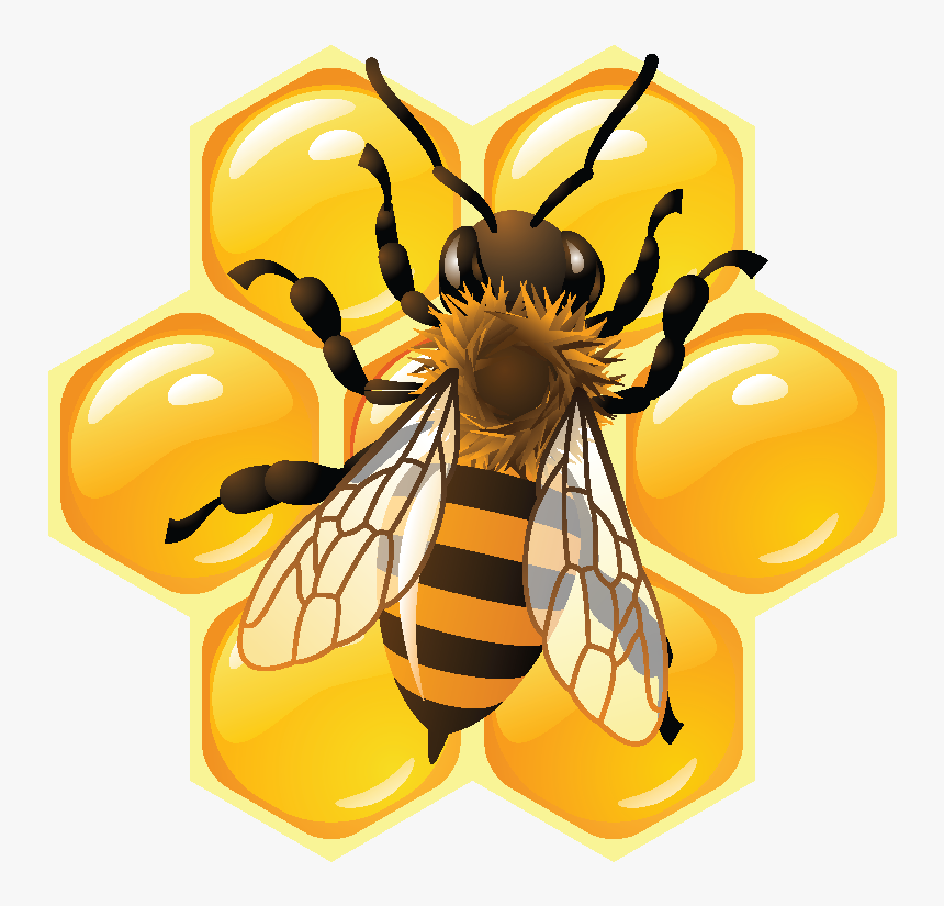 Crown Clipart Bee - Honey Bee, HD Png Download, Free Download