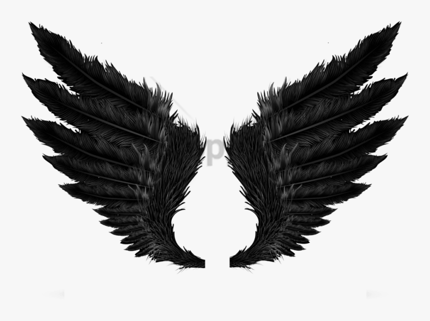 Transparent Wings Clipart Black And White - Wings Png, Png Download, Free Download