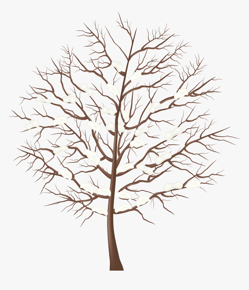 Winter Tree Clipart Png, Transparent Png, Free Download