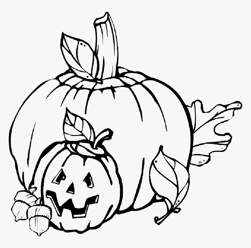 Fall, Pumpkin, Outline, Drawing, Jack, Leaf - Halloween Clip Art Black And White, HD Png Download, Free Download