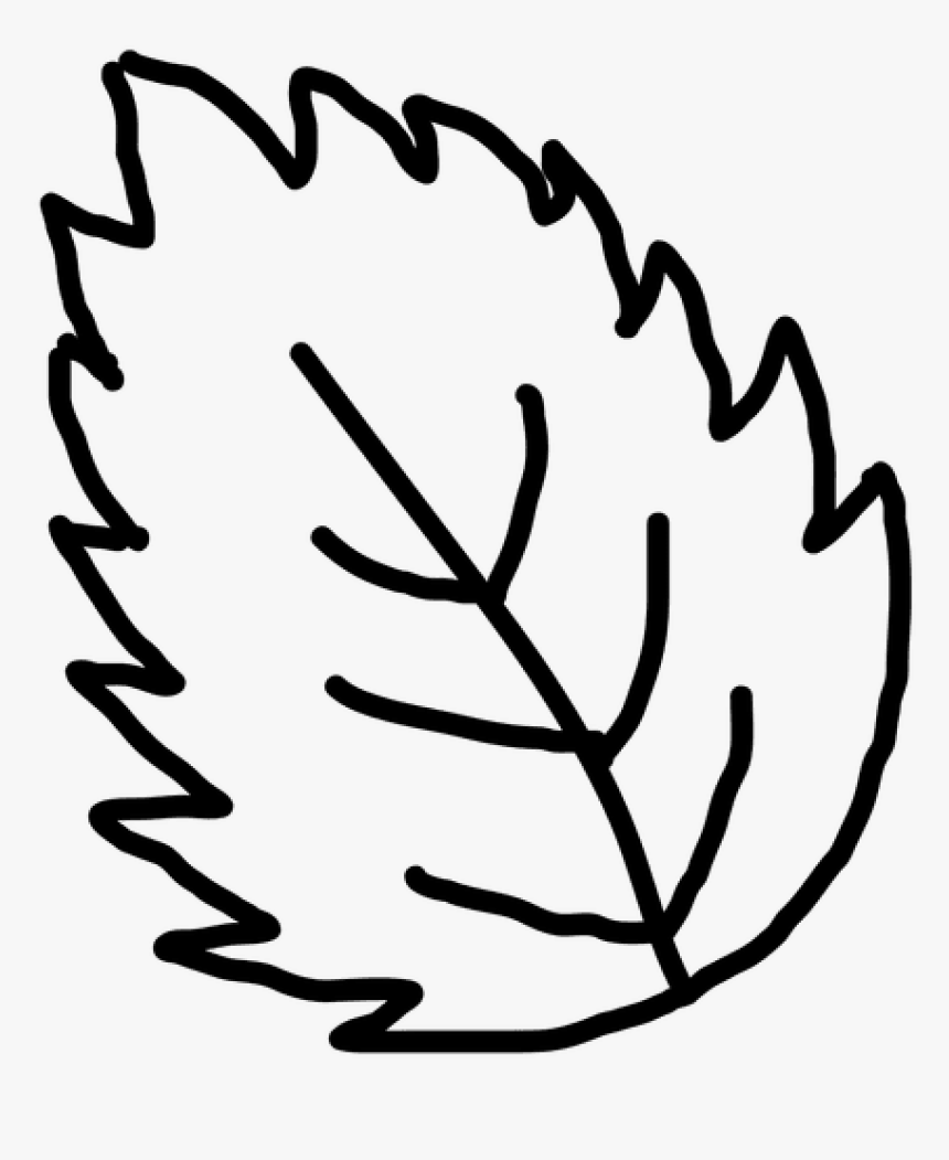 Leaf Outline Images Hand Drawn Leaf Outline Transparent - Outline Image Of Leaf, HD Png Download, Free Download