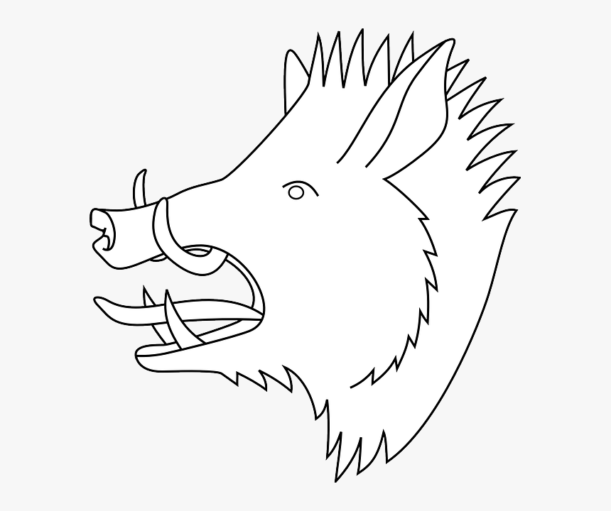 Head, Outline, Drawing, Silhouette, Cartoon, Pig, Wild - Boar Head Clipart, HD Png Download, Free Download