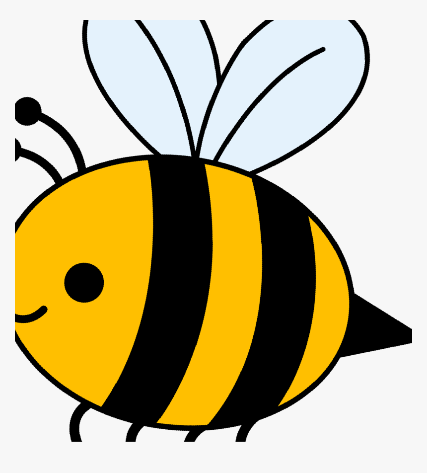 Clip Art Clip Art Transprent Png - Bee Cartoon Drawing, Transparent Png, Free Download