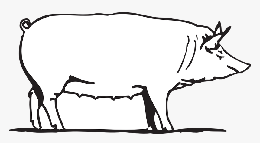 Farm, Barn, Pig, Animal - Pig Drawing Png, Transparent Png, Free Download