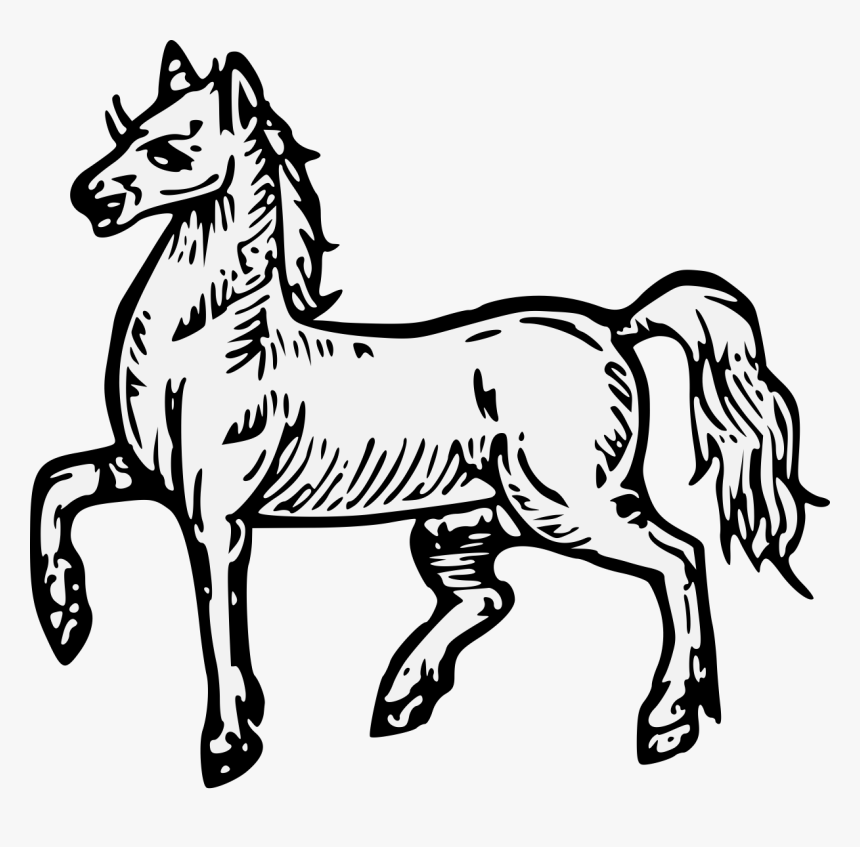 Transparent Horse Face Png - Mane, Png Download, Free Download