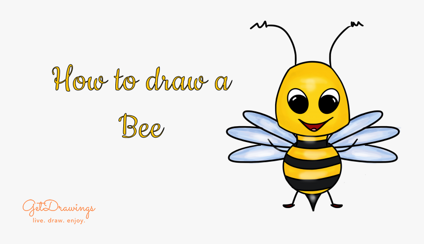 How To Draw A Bee - Honeybee, HD Png Download, Free Download