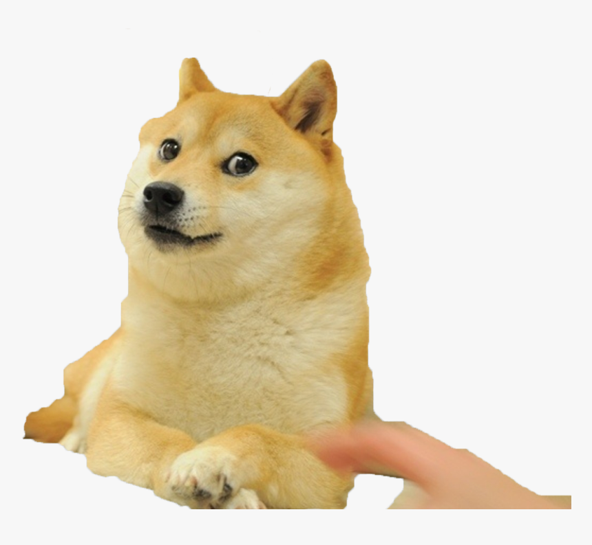 Mlg Doge Png, Transparent Png, Free Download