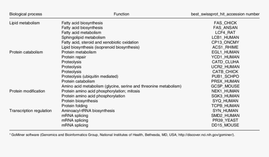 Major Functional Groups Of Hepatic Transcripts Exhibiting - Four Functional Groups Of Protein, HD Png Download, Free Download