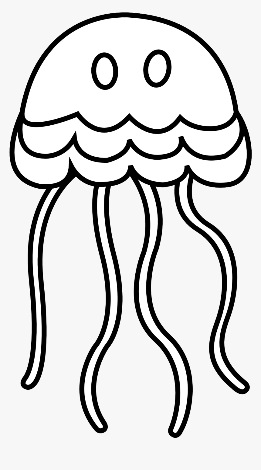 Jellyfish Black White Line Jelly Fish Clipart Black And White Hd Png Download Kindpng