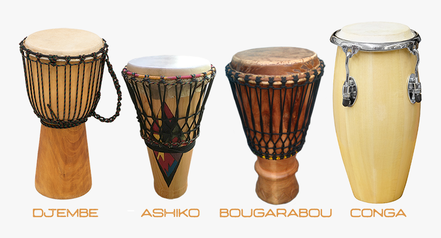 Drums2 - Percussion Hand Drums, HD Png Download, Free Download