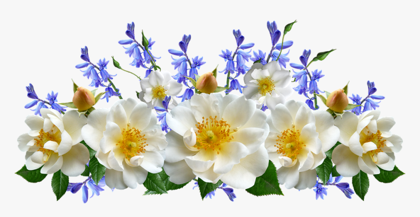 Flowers, White, Roses, Bluebells, Arrangement, Cut - Evergreen Rose, HD Png Download, Free Download