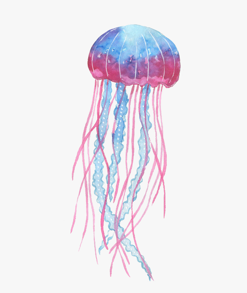 Jellyfish Freetoedit - Box Jellyfish Png, Transparent Png, Free Download