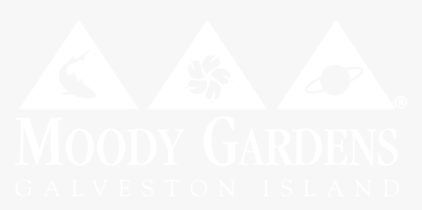Moody Gardens - Ripley S.a., HD Png Download, Free Download