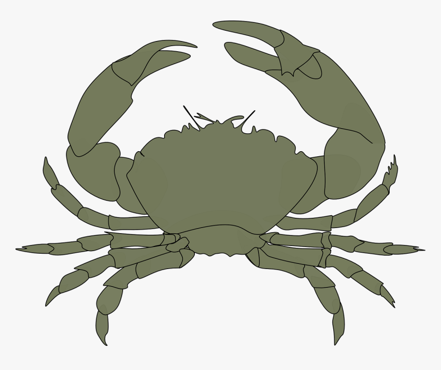 Crab Clipart Black, HD Png Download, Free Download