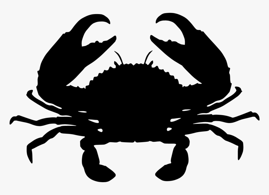 Giant Mud Crab Chesapeake Blue Crab Red King Crab - Hook And Reel Logo, HD Png Download, Free Download