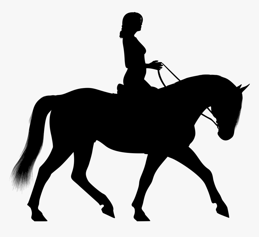 Horse Equestrian Silhouette Clip Art - Horse And Rider Silhouette, HD Png Download, Free Download