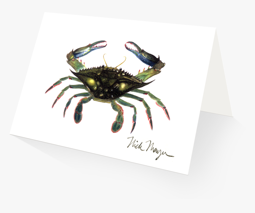 Blue Crab, Claws In - Fiddler Crab, HD Png Download, Free Download