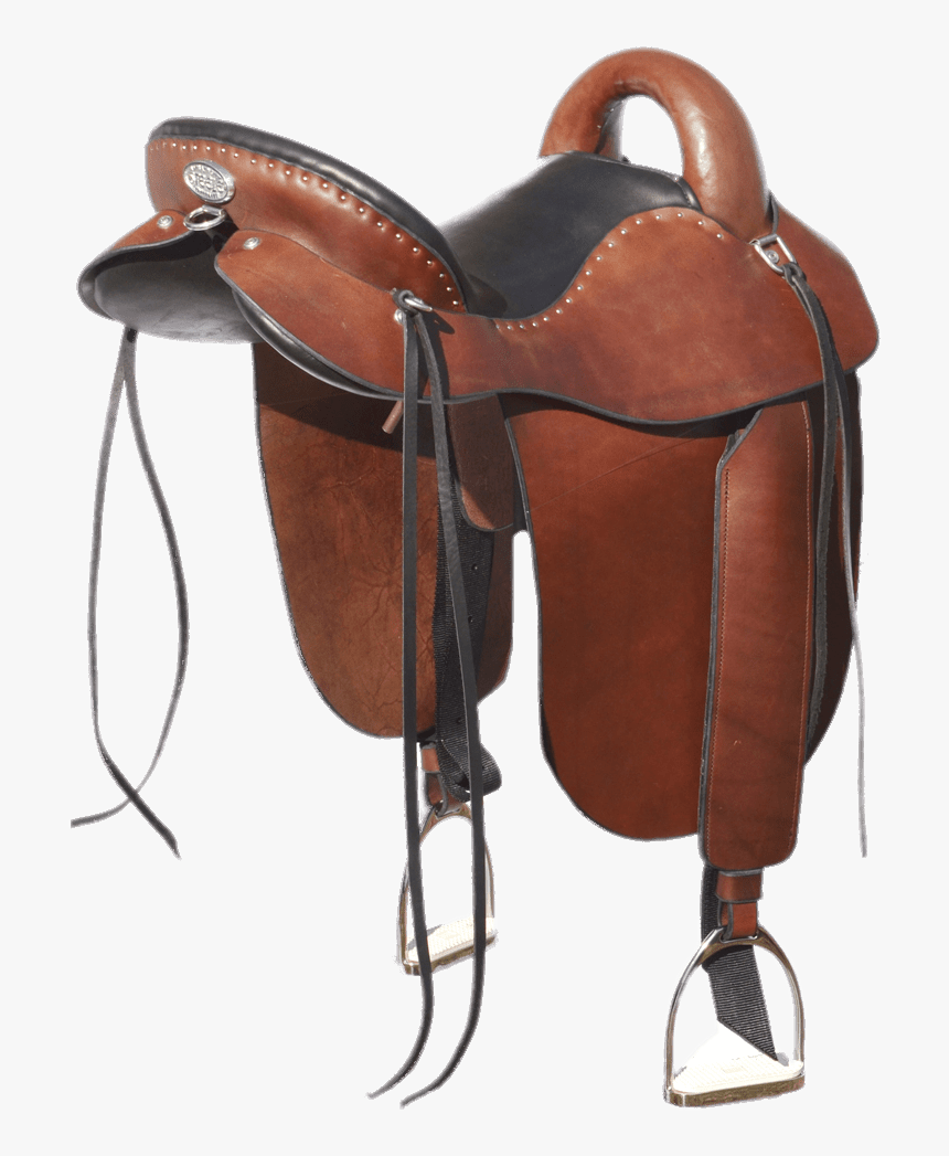 Trail Saddle - Saddle Png, Transparent Png, Free Download